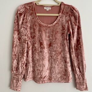 Velvet Puffed Long Sleeve Top (M)